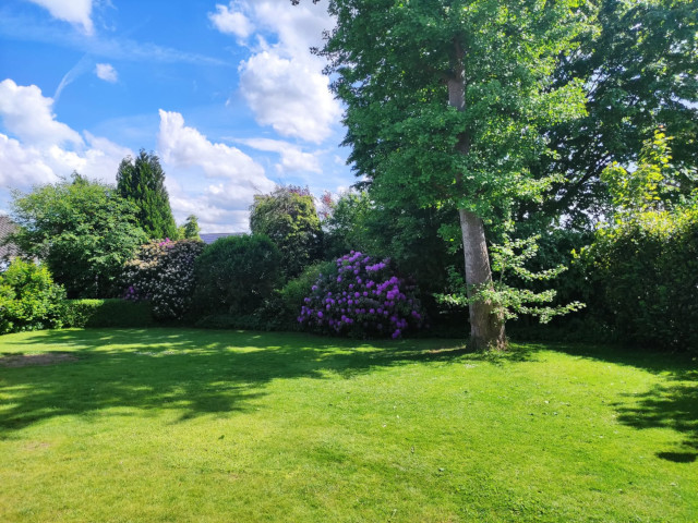 Gartenblick-640